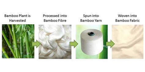 Bamboopulp: การแปรรูปและการประยุกต์ใช้ในอุตสาหกรรมกระดาษและบรรจุภัณฑ์!