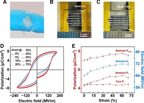  Ferroelectric Material: นวัตกรรมเหนือชั้นที่กำลังปฏิวัติวงการอุปกรณ์อิเล็กทรอนิกส์!